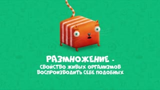 Развлечёба. Сезон 2. Серия 84 - Про размножение и развитие животных
