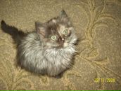 Діма Микитин фотография #23 (источник - https://vk.com/id94342140)