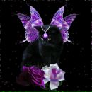 Аліна Нечепорчук фотография #16 (источник - https://vk.com/id142416637)