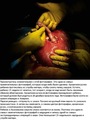 Генадій Мурзін фотография #13 (источник - https://vk.com/id158990345)