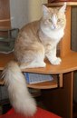 Діана Ставка фотография #35 (источник - https://vk.com/id166687039)