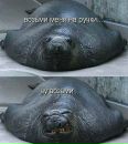 Фотография Удаловой Сени