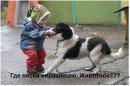 Илья Дьяченко фотография #15 (источник - https://vk.com/id52228312)