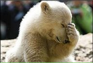 Фотография Выгнанского Ивана