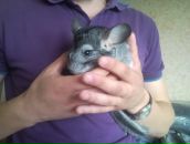 Андрей Сурков фотография #13 (источник - https://vk.com/id764308)