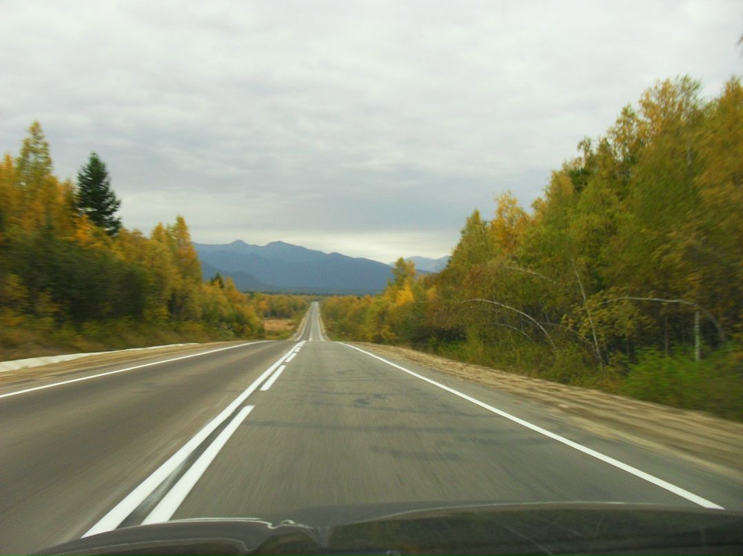 Антон Мышкин фотография #30