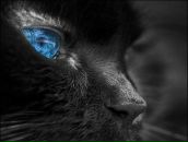 Фотография Шмаковой Юлии