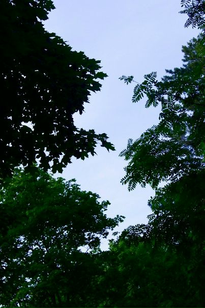 Елена Евсюкова фото №30