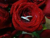 Фотография Аршинцевой Анечки