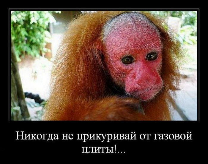 Дмитрий Антоненко фотография #11