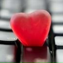 Фотография Смирновой Екатерины