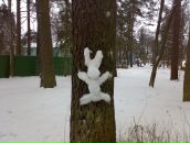 Ірина Матвейчук фотография #15 (источник - https://vk.com/id25519483)