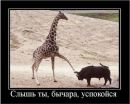 Фотография Александровича Максима