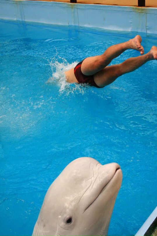 Максим Давидчук фотография #47