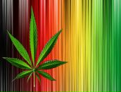 Фотография Залихоффа Tima