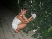 Фотография Терехов Виталик