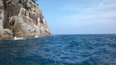 Фотография Шилова Алексея