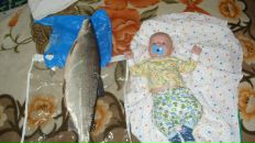 Фотография Сидоров Виталий