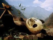 Фотография Шариповой Наргис