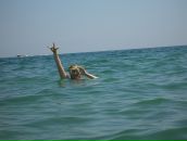 Фотография Ито Оксаны