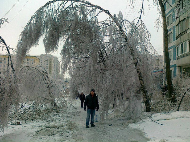 Станислав Ким фотография #39