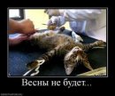Олександр Підкаура фотография #37 (источник - https://vk.com/id32725743)