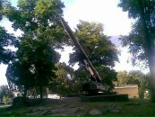 Саша Підкуйко фотография #6 (источник - https://vk.com/id125790219)