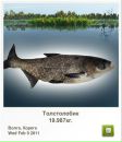 Андрій Кирилич фотография #40 (источник - https://vk.com/id72602419)