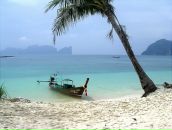 Фотография Закоморного Александра