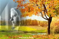 Фотография Токаревой Елены