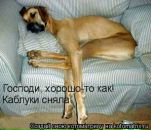 Фотография Кулаковой Александры