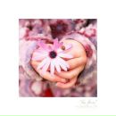 Фотография Мельниченко Юлии