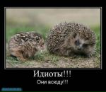 Фотография Морожникова Артёма