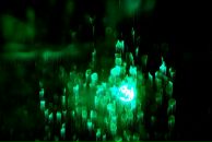 Алан Айверсон фотография #4 (источник - https://vk.com/id2580733)