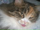 Фотография Котельников Даниил