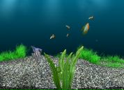 Катя Філяк фотография #7 (источник - https://vk.com/id99304980)