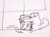 Фотография Рачковой Анастасии