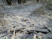 Михайло Сорокін фотография #34 (источник - https://vk.com/id17253856)