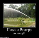 Євген Демчук фотография #37 (источник - https://vk.com/id30404532)