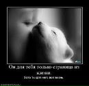 Іван Лецан фотография #6 (источник - https://vk.com/id161058427)
