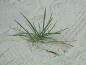 Ужгород Http://uzhgorod-ua.com фотография #6 (источник - https://vk.com/id103549721)