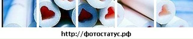 Даша Євдоченко фотография #40 (источник - https://vk.com/id69196615)