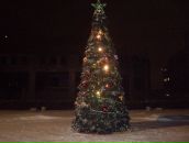 Фотография Ермакова Юры