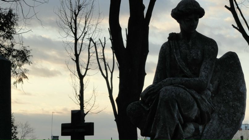 Jeff Mclaughlin фотография #48