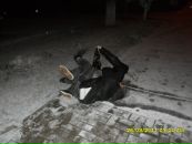 Фотография Демьянова Славы