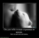 Фотография Романова Алексея