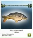 Платон Білинський фотография #17 (источник - https://vk.com/id136798686)