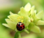 Фотография Бондаренко Артема