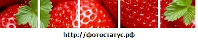 Ирина Мищенко фотография #24 (источник - https://vk.com/id17107253)