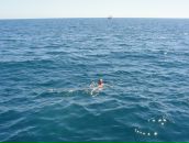 Фотография Бабошина Никиты